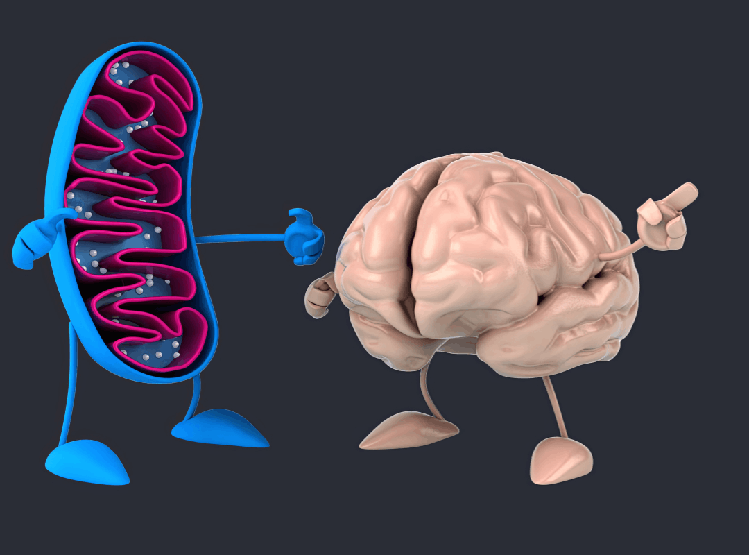 ansia sociale e intestino